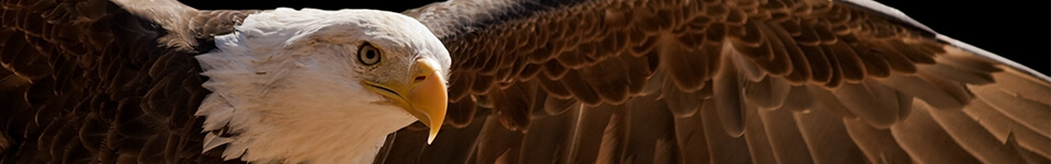 [Translate to Niederländisch:] Seite wurde nicht gefunden